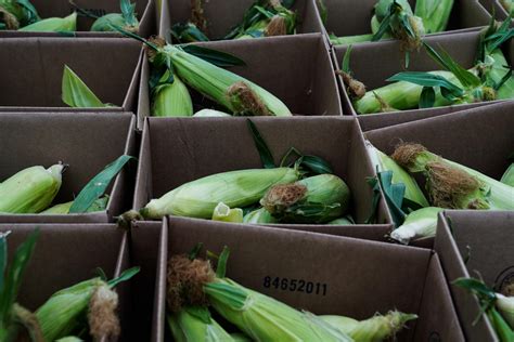 USDA Cuts Impact Food Banks in Florida