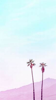 Minimalist Tree Wallpaper Iphone by Palms Iphone Wallpaper Iphone Wallpapers Minimalist Tree Wallpaper Iphone