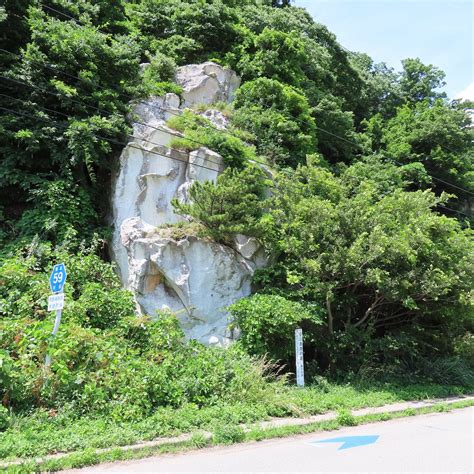 TSUBAKI NO SHIRAIWA (2026) All You Need to Know BEFORE You Go (with ...