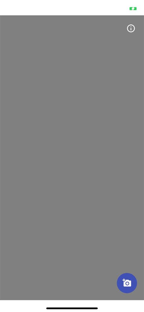 Xcode Camera Access Tutorial 的图像结果