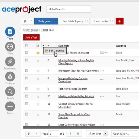 AceProject Tutorial 的图像结果