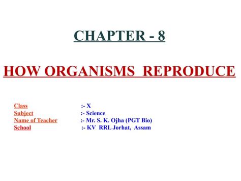 Image result for Reproductive System Grade 10