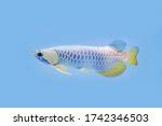 Image result for Files Topic in Oops Java