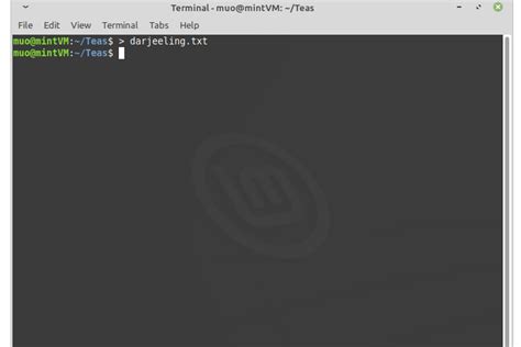 Image result for Destination File Operand in Linux