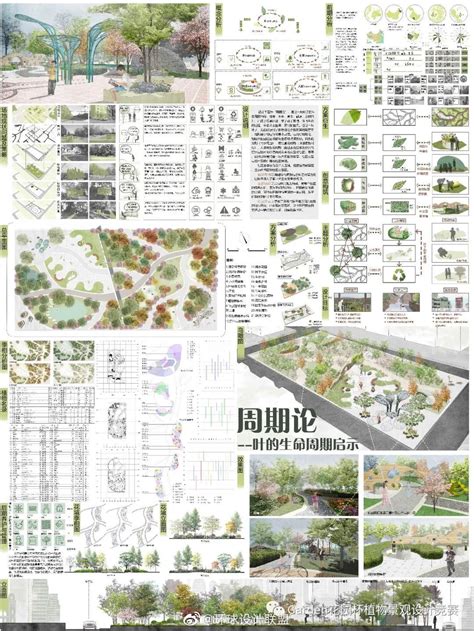 成都别墅花园设计实景案例-青望园林园林景观设计
