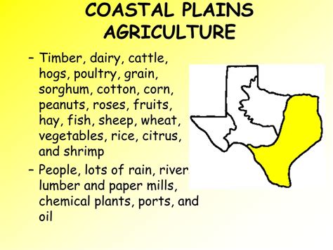 PPT - Regions of Texas PowerPoint Presentation, free download - ID:400999