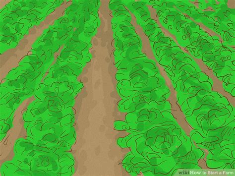 Image result for Farm Tutorial