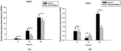 Pathogens | Special Issue : Entomopathogenic Fungi and Nematodes in ...