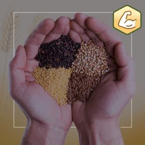 Sunrise Super Foods Bajra (1kg) - Unpolished Pearl Millet | Desi Bajri ...