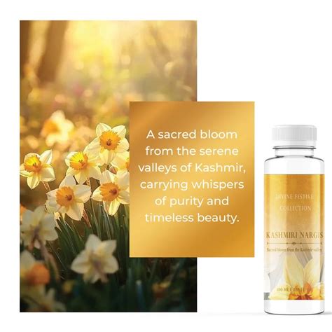 Buy Fragrance Diffuser Machine & Essential Oils for Homes & Offices ...