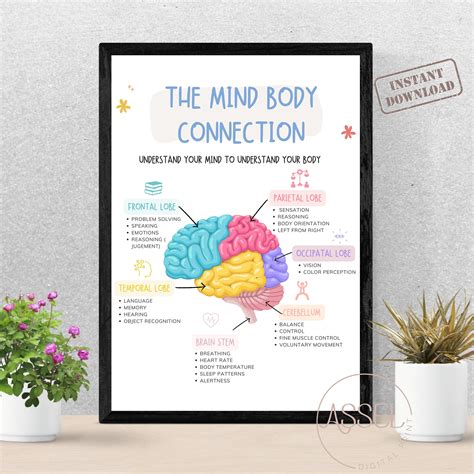 Image result for Brain Body Connection