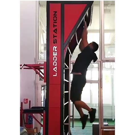 Image result for Ladder Climb Machine