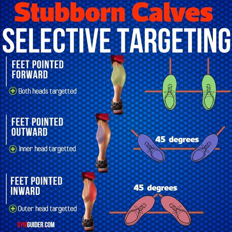 Grow And Sculpt Strong Calves With These 6 Body Weight Exercises - GymGuider.com | Weights ...