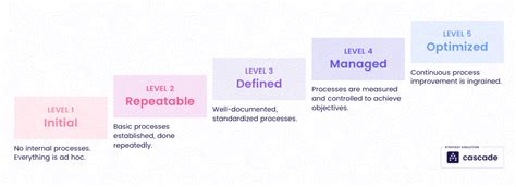 Image result for Capacity Maturity Model