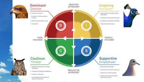 Disc Communication Styles 的图像结果