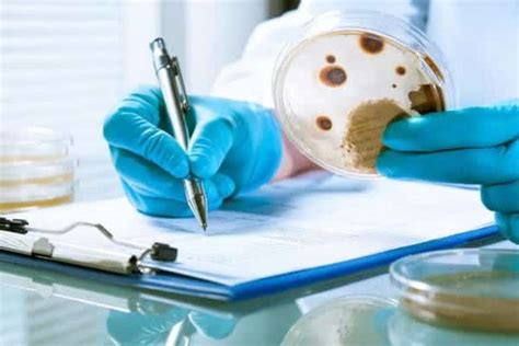 Image result for Animated Mold Testing