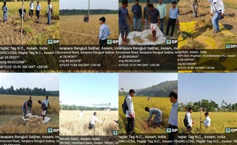 Home | Directorate of Economics and Statistics | Government Of Assam, India