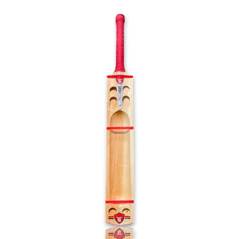 Garuda Edition Hard Tennis Bat - Classic – Hangul Sports