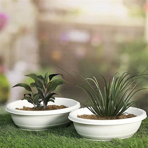 Varshney Gardening Orchid Online Bonsai Pot White (Oval) 12 Inches Long ...