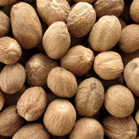 Jaiphal - Nutmeg - Jayfal - Jayphal - Jaifal - Myristica Fragrans ...
