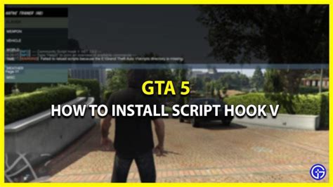 Image result for How to Use Script Hook 5