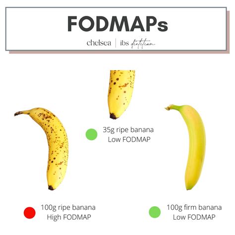 List of fodmap foods – Artofit