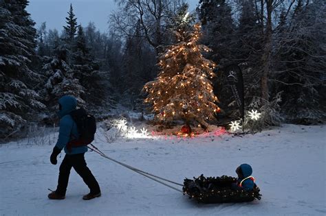 Photos: Solstice Tree Tour at Kincaid Park - Anchorage Daily News