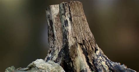 Image result for Epic Games Realityscan 2.0 Tutorial