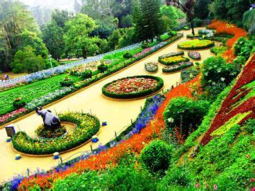 Magical 2 Days Ooty Trip Package | ooty Trip Package for 1 Nights/2 ...