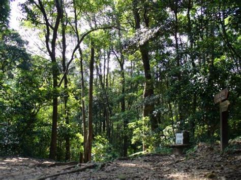 Kau Nature Reserve, tai po, Hong Kong - Top Attractions, Things to Do ...