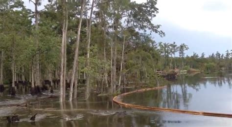 Louisiana Sinkhole Video: Bayou Corne Sinkhole Swallows Trees In ...