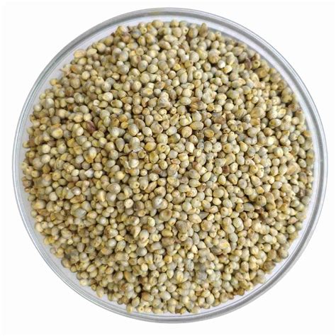 Bajra (Pearl Millet) Organic 500gm | Buy Bajra Online - Millet Amma