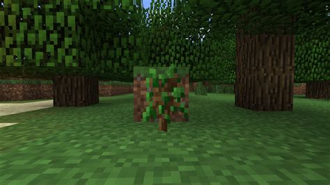 Image result for Custom Block Models Minecraft