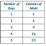 Image result for Eureka Math Grade 7 Module 1 Lesson 7
