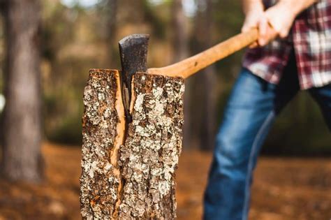 Best Axe for Splitting Wood on Any Tree! 2026 Review