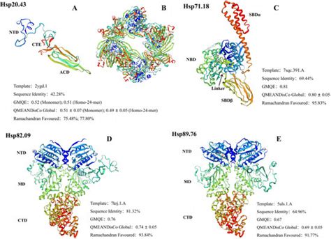 Cloning and Molecular Characterization of Hsp Genes from Anoplophora ...