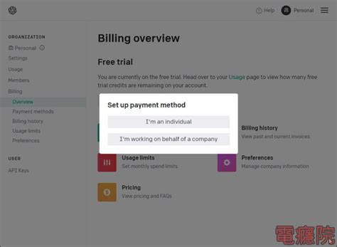 Chat Bot API Key 的图像结果