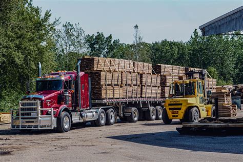 Buyers of Standing Timber | Michigan, Indiana, Ohio - Buskirk Lumber