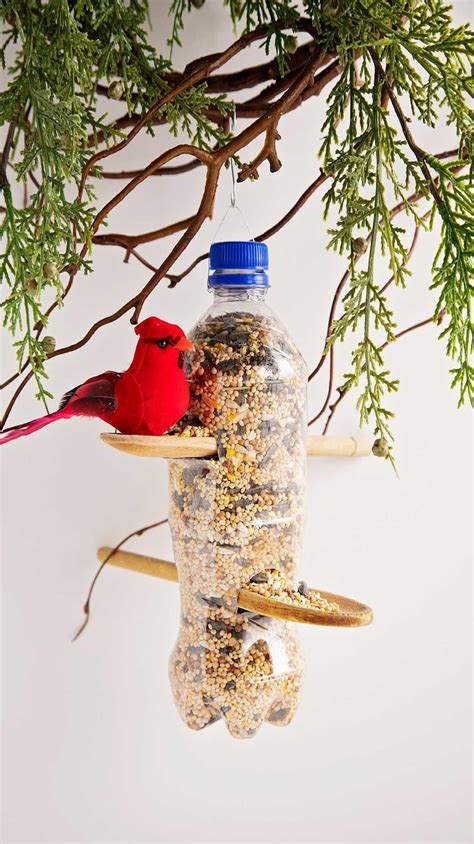 Make a recycled plastic bottle bird feeder – Artofit