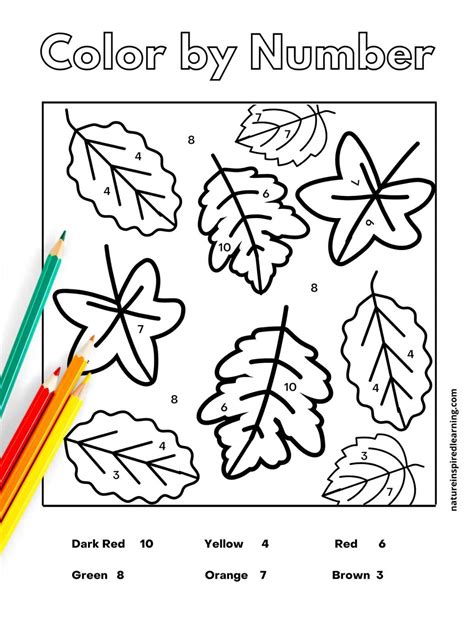 Color By Number Fall Coloring Pages [2025]
