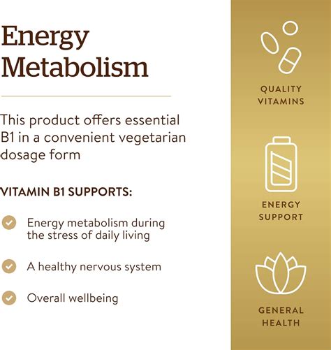 SOLGAR Metilcobalamina Vitamina B12 5000 mcg Nuggets Apoya la energía ...