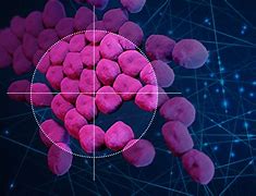 Antibiotic discovered with AI 的图像结果