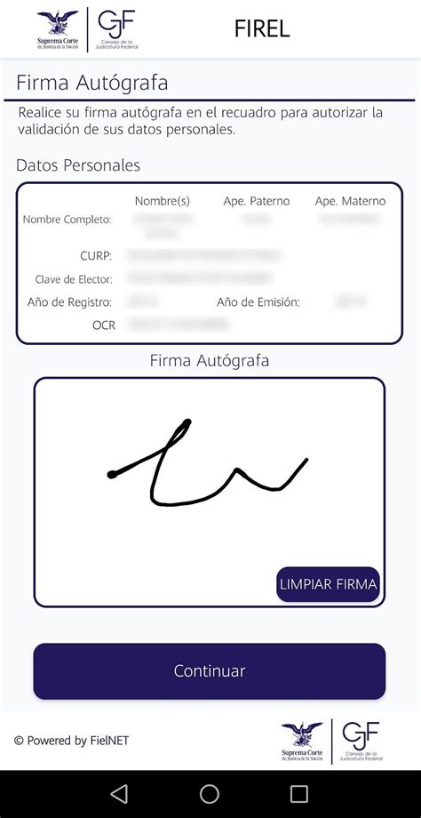 Tutorial Firel 的图像结果