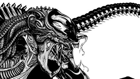 Image result for How to Draw the Predalien