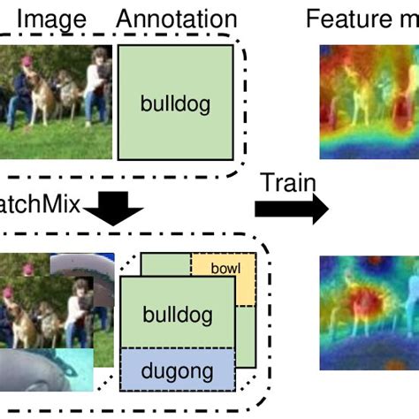 Image result for FSL Course