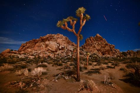 10 MustVisit National Parks In The USA