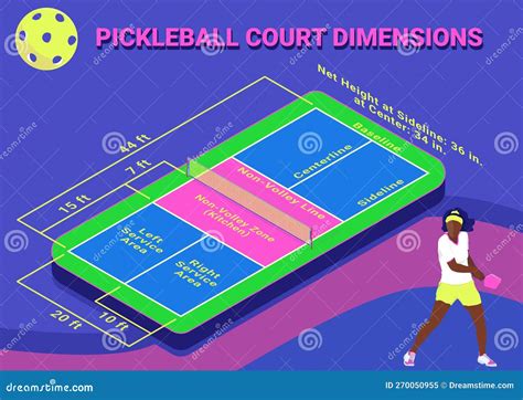 Pickleball Court Dimensions Isometric Diagram. Stock Vector ...