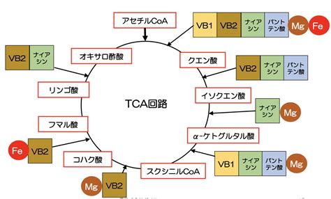 AlienFX Lighting Control に対する画像結果