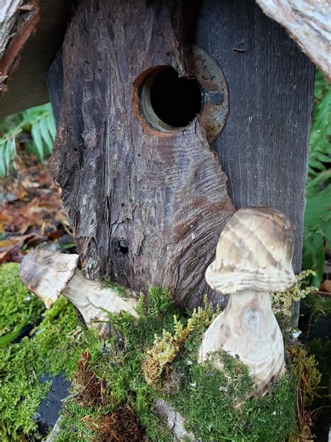Rustic birdhouse hobbit birdhouse fairy birdhouse whimsical | Etsy ...