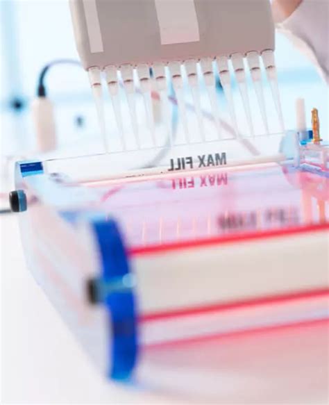 Image result for Method Transfer